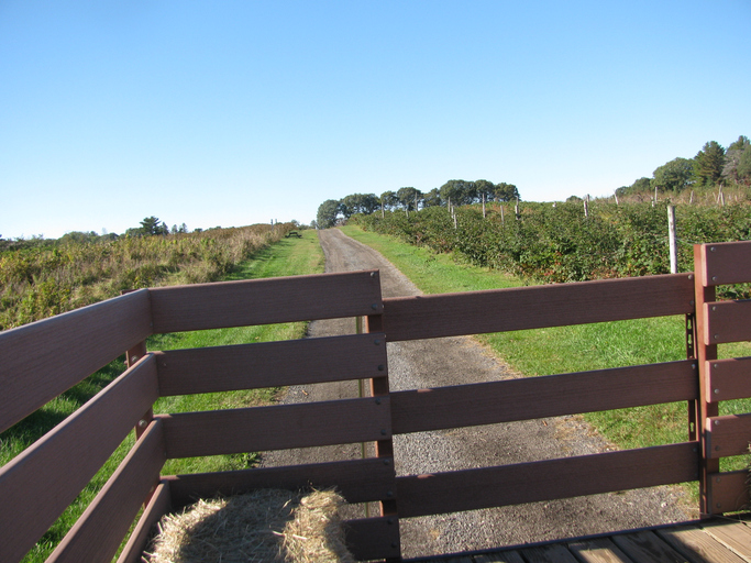 The Perfect Hayride Trailers