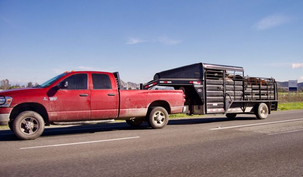 Are Gooseneck Trailers Better? Kate's Trailer Sales