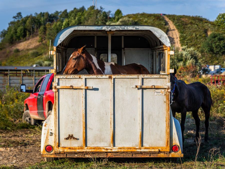 Say Goodbye to Trailer Rust with These Easy Maintenance Tips