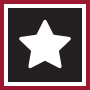 Reviews Icon